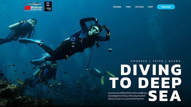 Wahoo Diving Center: Optimize Website and SEO